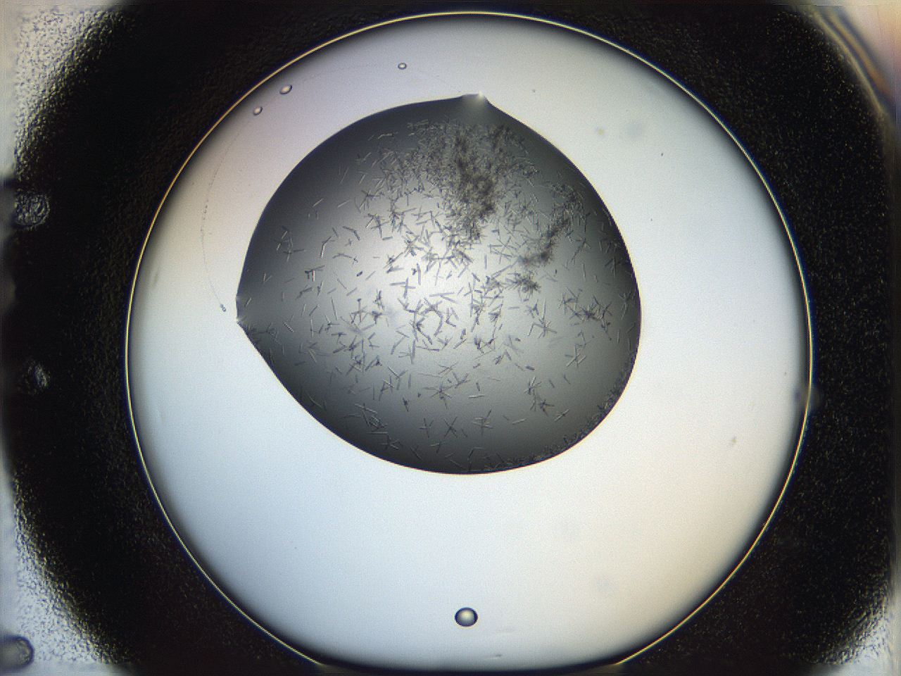 05m3_E5_ImagerDefaults_6.jpg