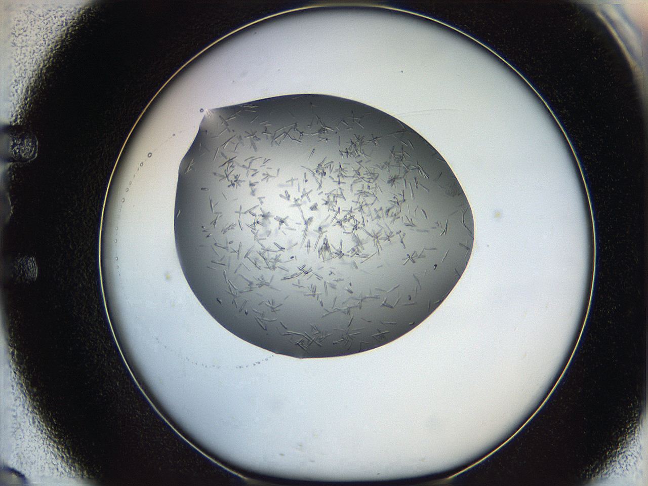 05m3_E9_ImagerDefaults_6.jpg