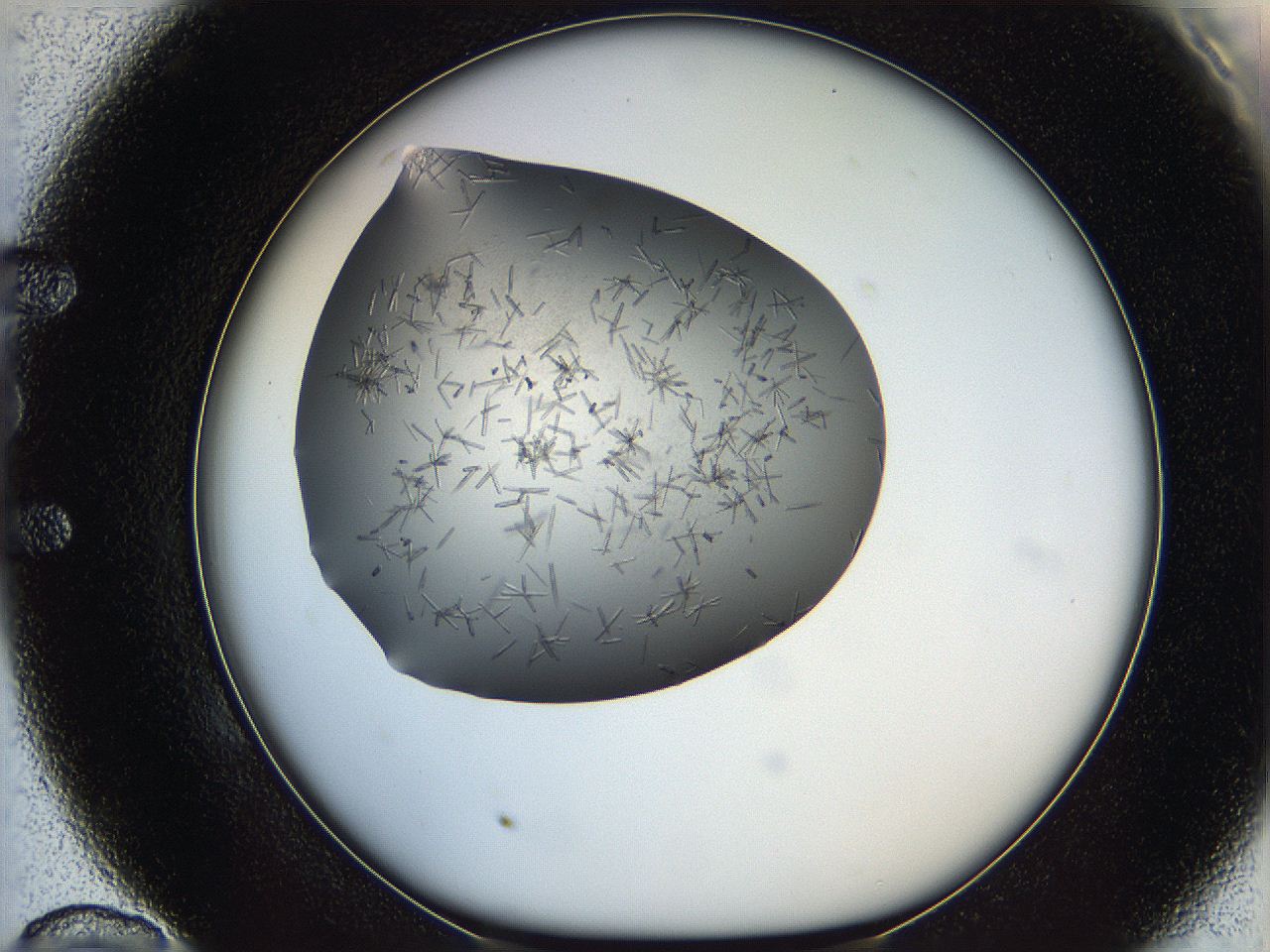 05m3_E10_ImagerDefaults_6.jpg