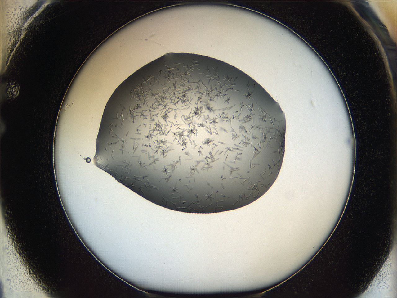 05m3_F1_ImagerDefaults_7.jpg