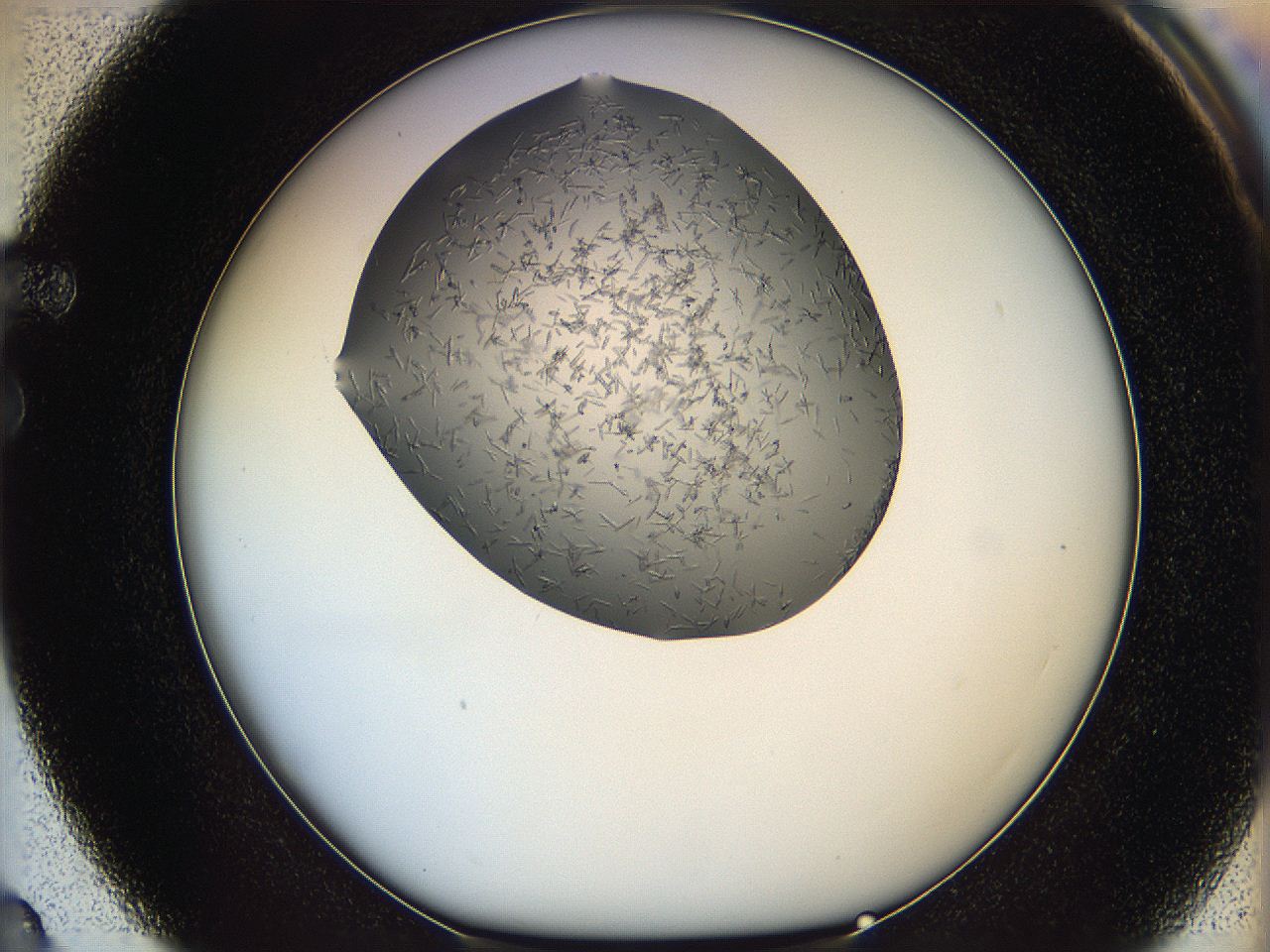 05m3_F3_ImagerDefaults_7.jpg