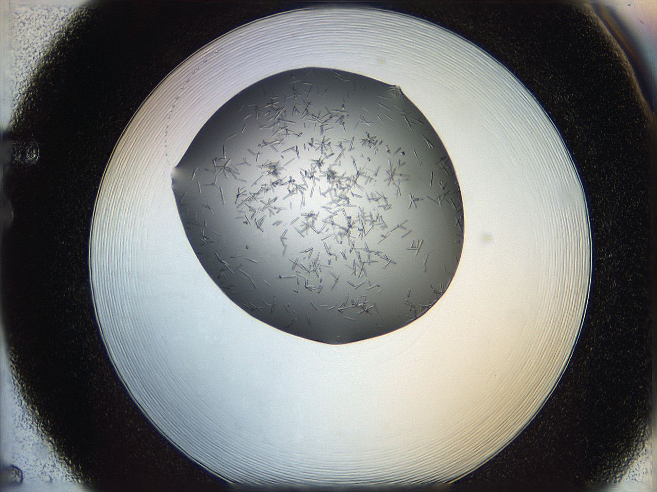 05m3_F5_ImagerDefaults_6.jpg