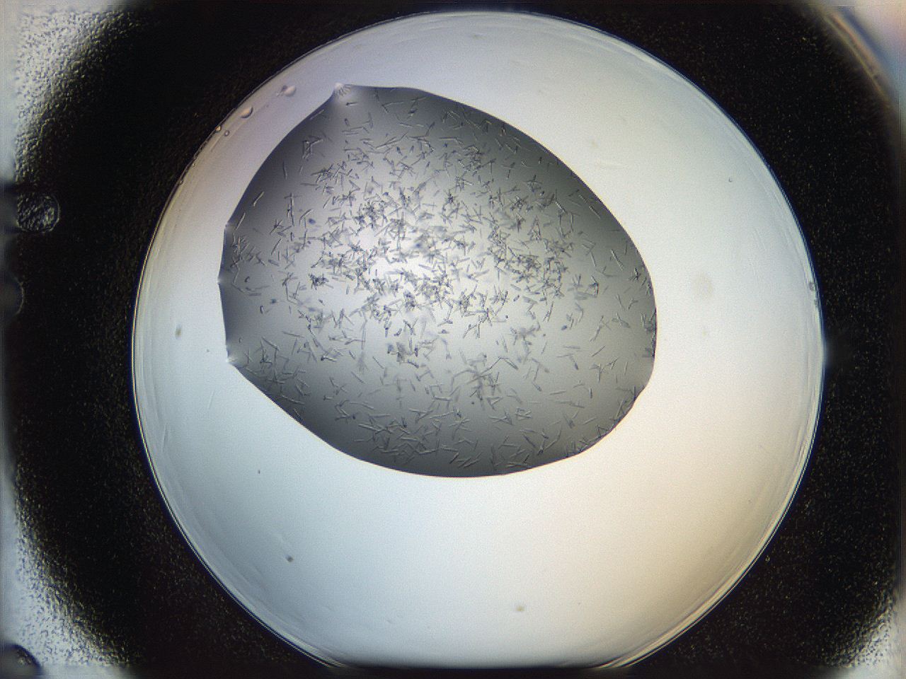 05m3_F6_ImagerDefaults_7.jpg