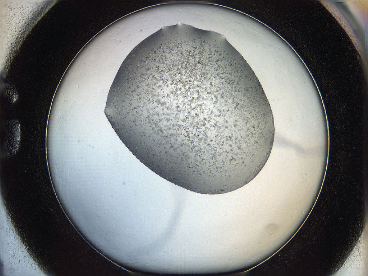 05m3_G1_ImagerDefaults_6.jpg