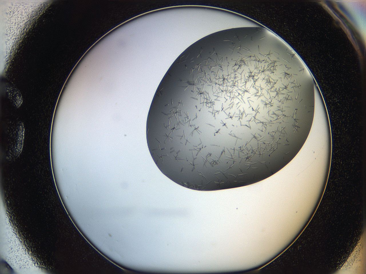 05m3_G3_ImagerDefaults_7.jpg