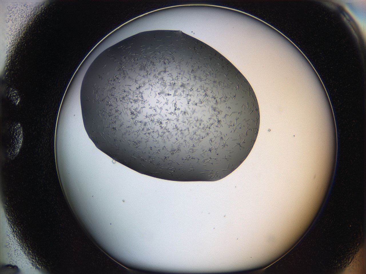 05m3_G7_ImagerDefaults_6.jpg