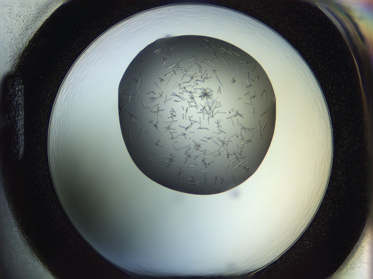 05m3_H1_ImagerDefaults_7.jpg