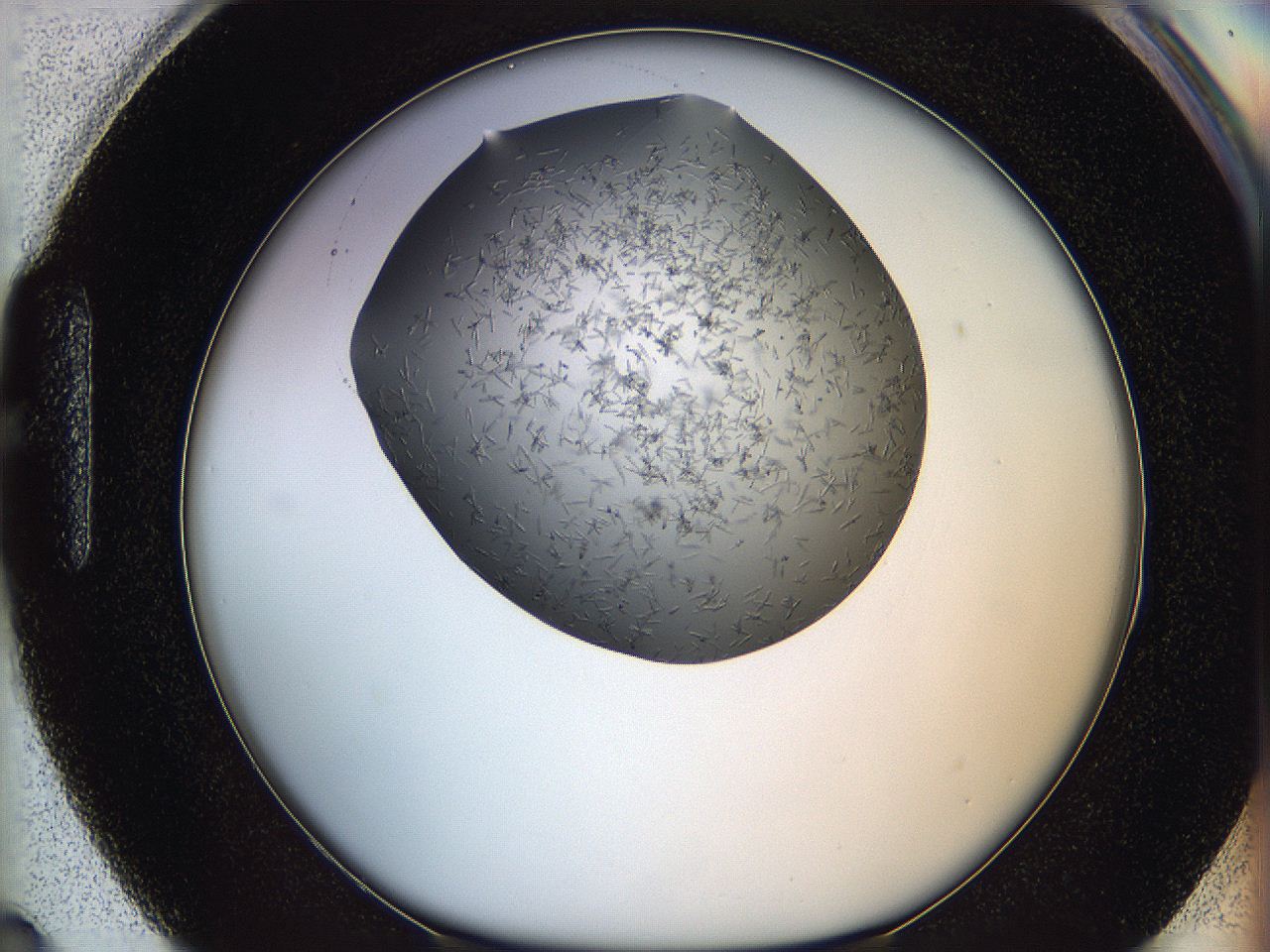 05m3_H3_ImagerDefaults_7.jpg