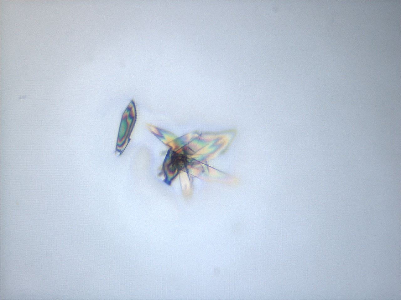 05m5_F12_ImagerDefaults_9.jpg