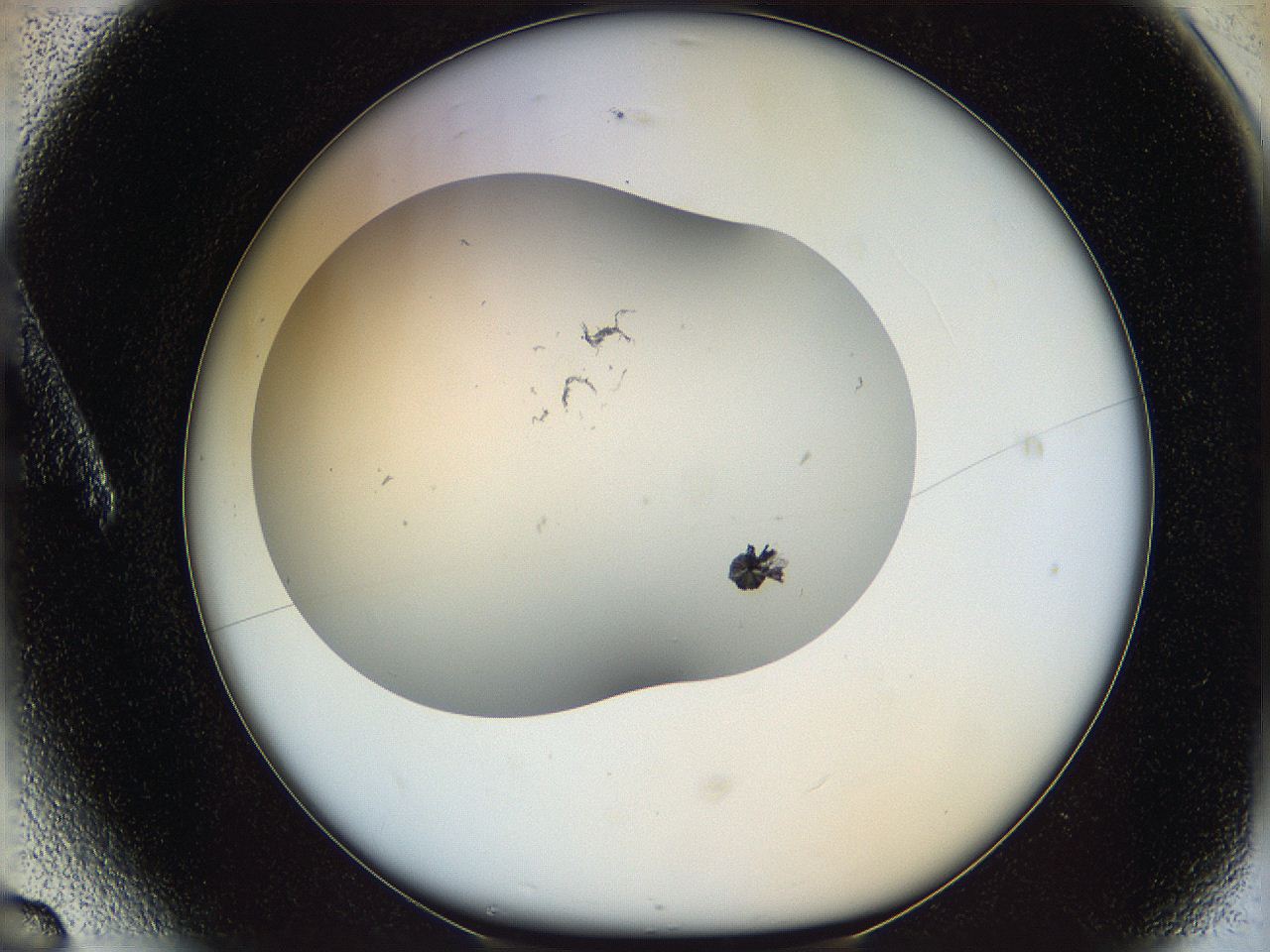05m6_A6_ImagerDefaults_8.jpg