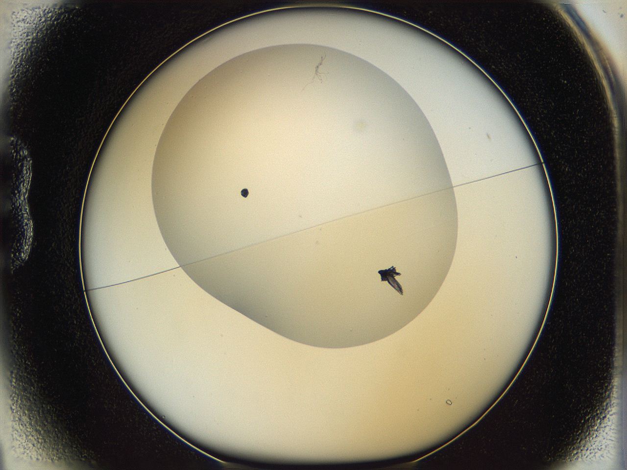 05m6_B1_ImagerDefaults_8.jpg