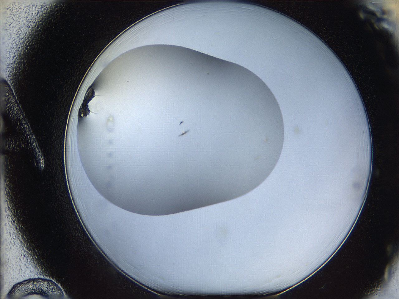 05m6_A12_ImagerDefaults_7.jpg