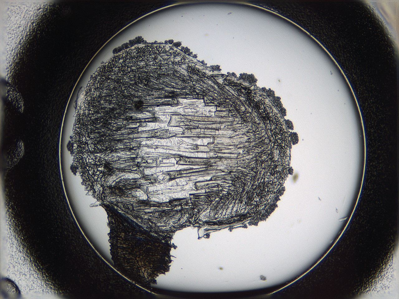 05m8_C8_ImagerDefaults_7.jpg