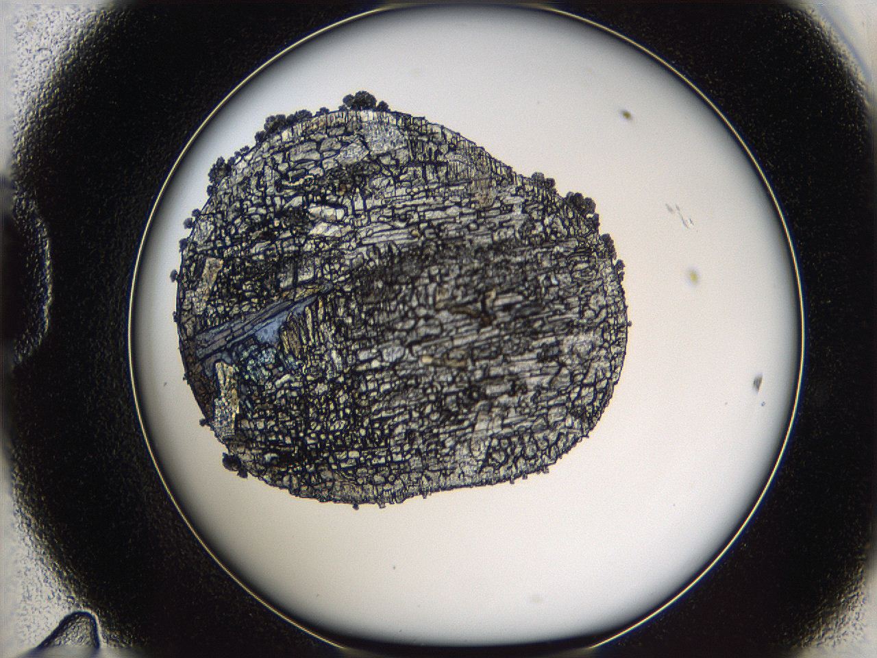 05m8_D11_ImagerDefaults_7.jpg