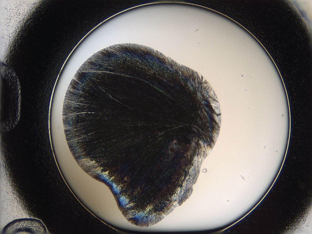 05m8_D12_ImagerDefaults_7.jpg