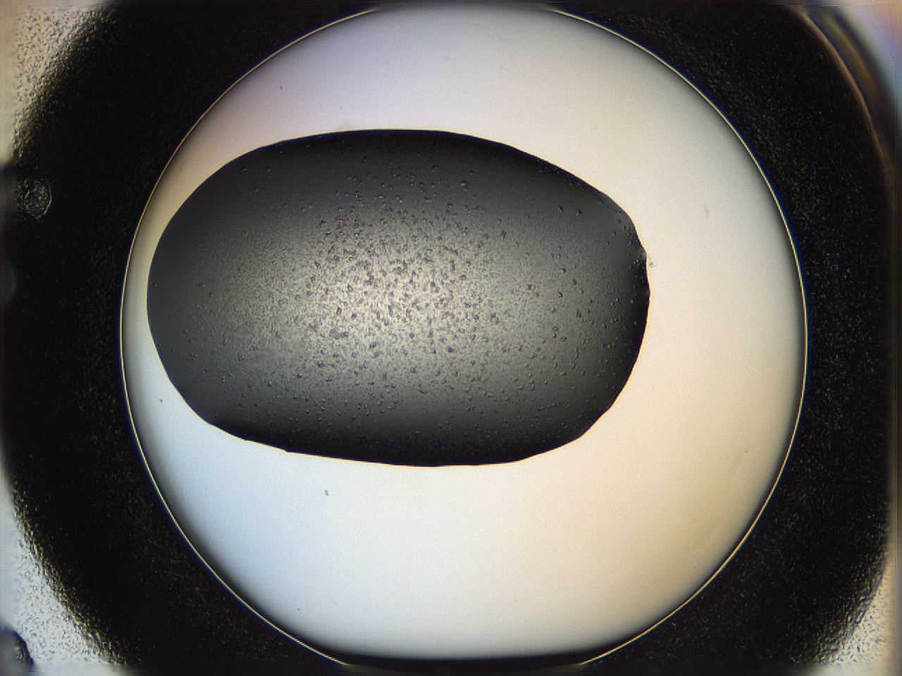 05mf_F3_ImagerDefaults_6.jpg
