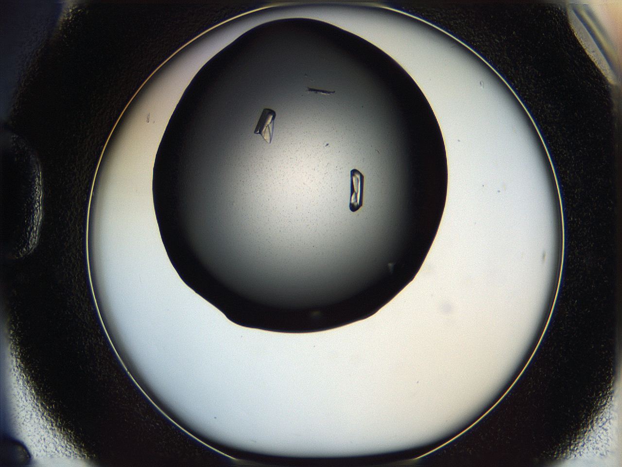 05mf_D6_ImagerDefaults_9.jpg