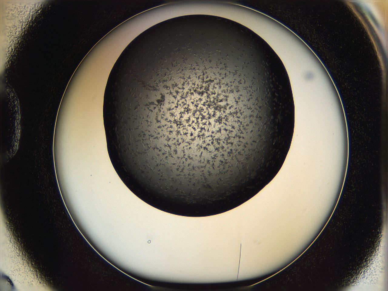 05mf_D2_ImagerDefaults_6.jpg
