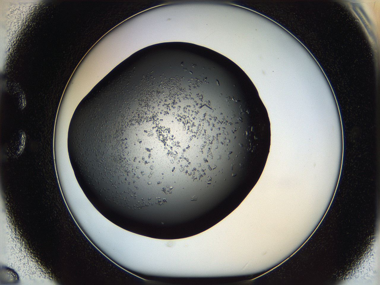 05mf_C6_ImagerDefaults_6.jpg