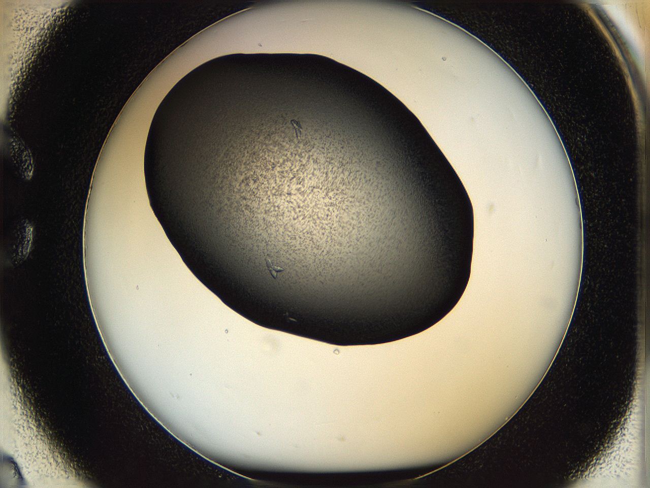 05mf_C2_ImagerDefaults_7.jpg