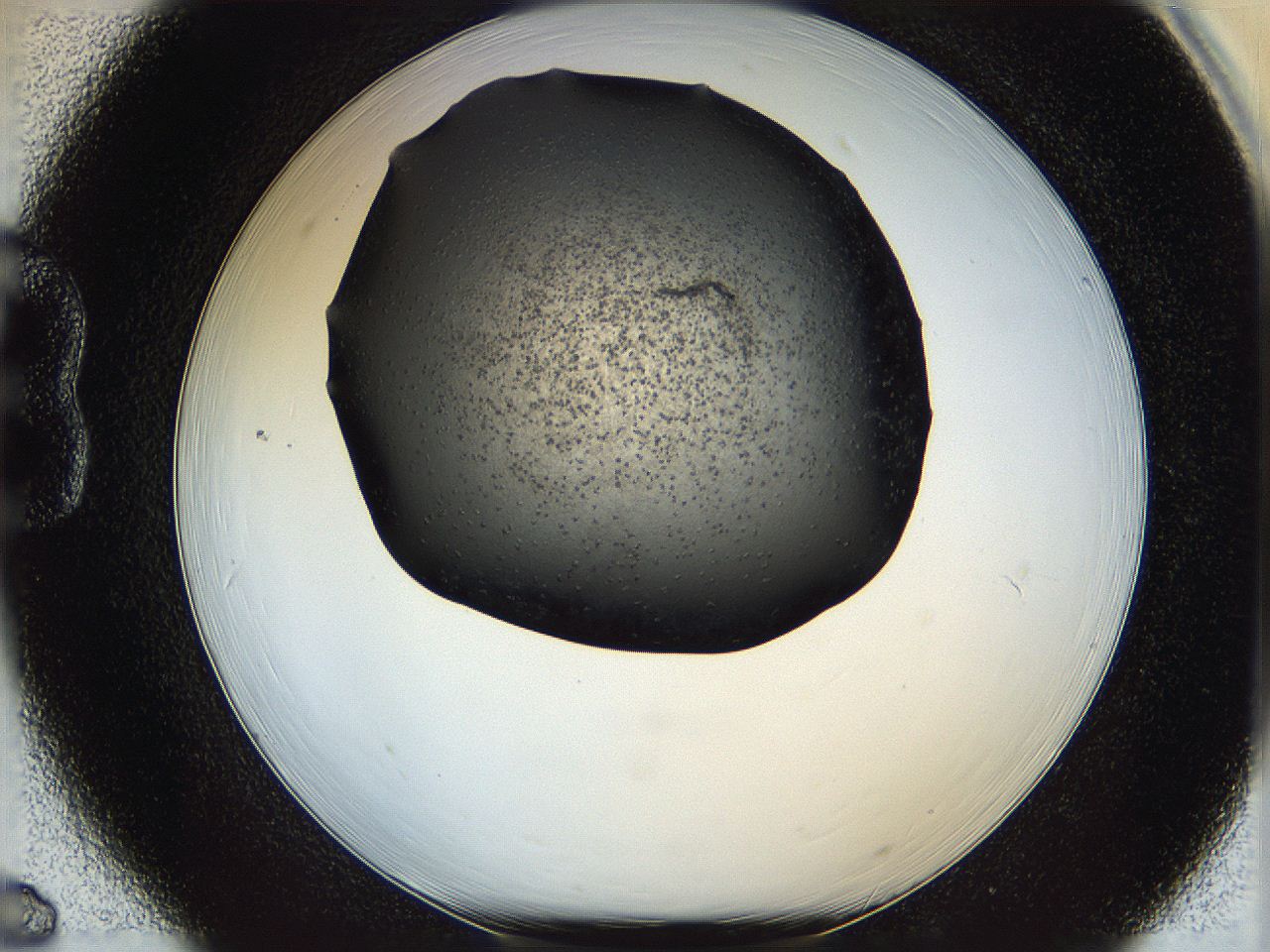 05mf_B6_ImagerDefaults_6.jpg