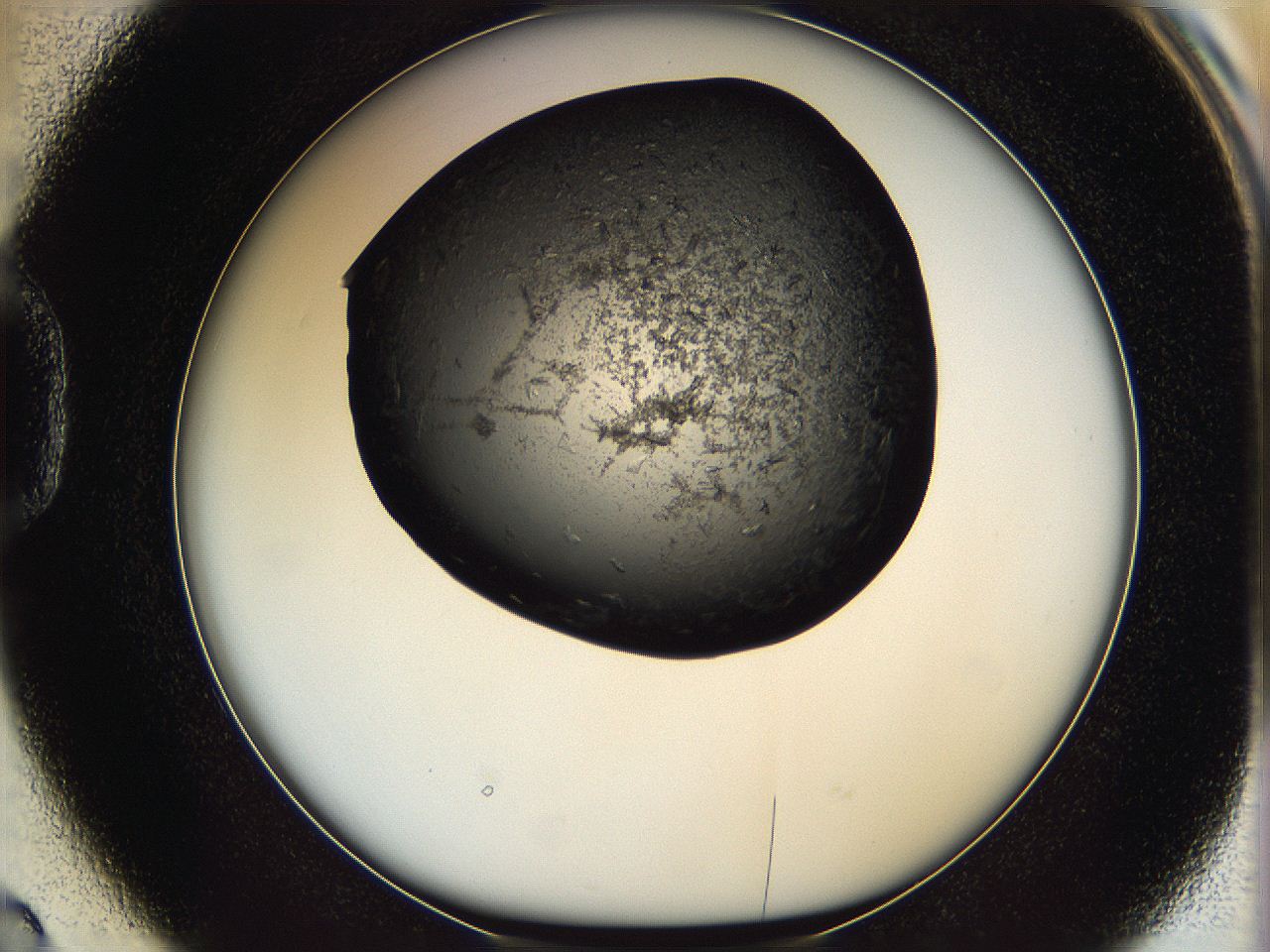 05mg_D2_ImagerDefaults_6.jpg