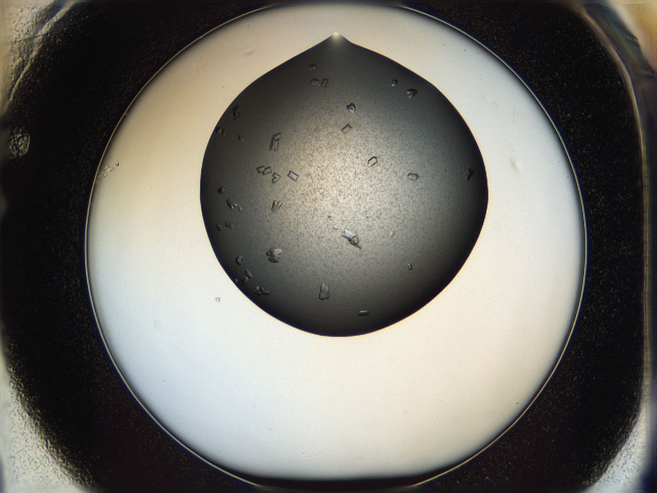 05mg_F1_ImagerDefaults_8.jpg