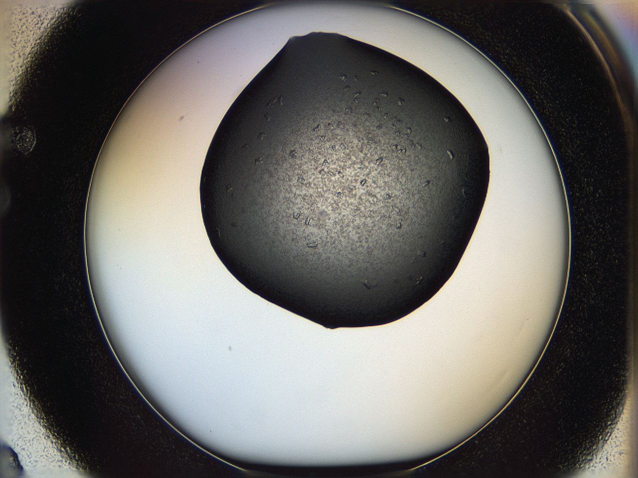 05mg_F3_ImagerDefaults_7.jpg