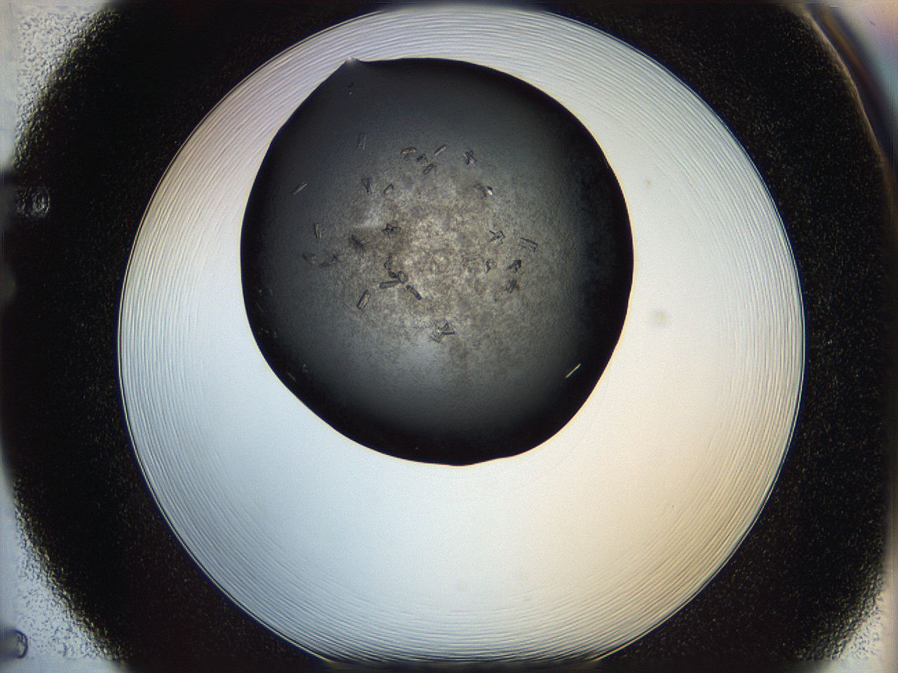 05mg_F5_ImagerDefaults_7.jpg