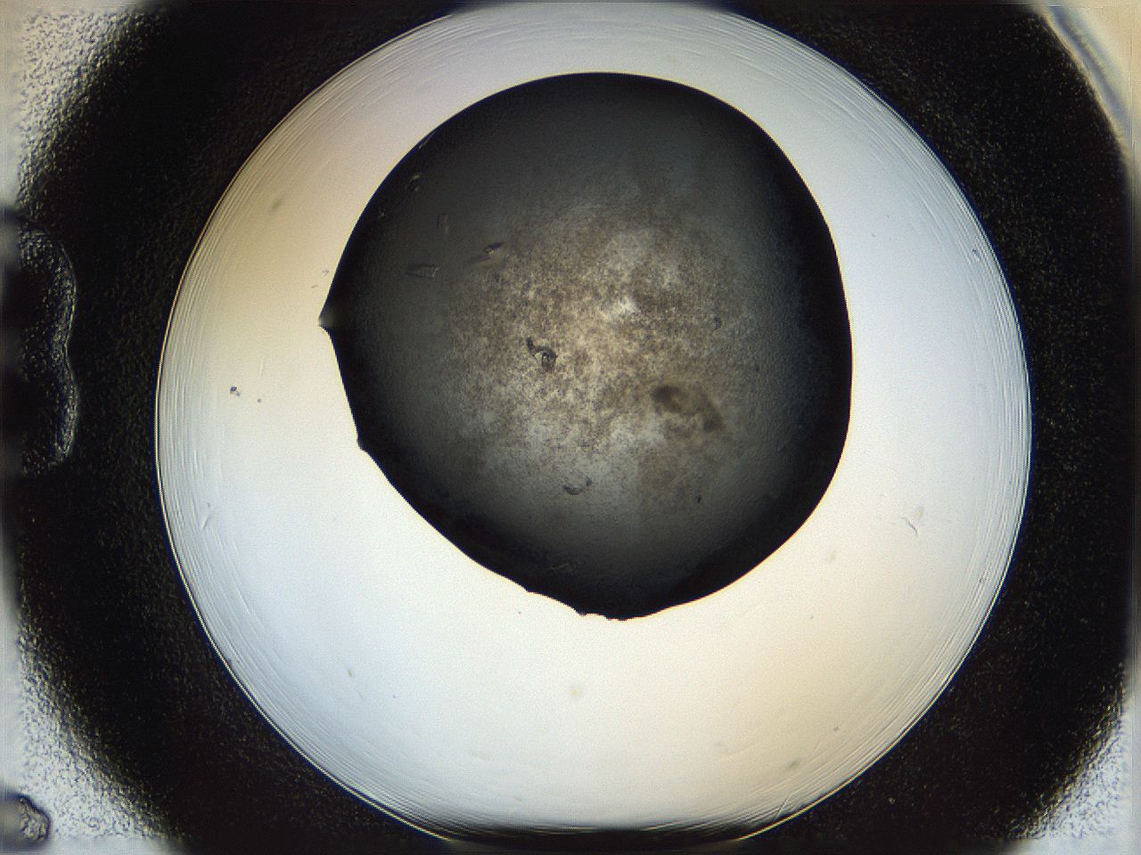 05mg_B6_ImagerDefaults_7.jpg