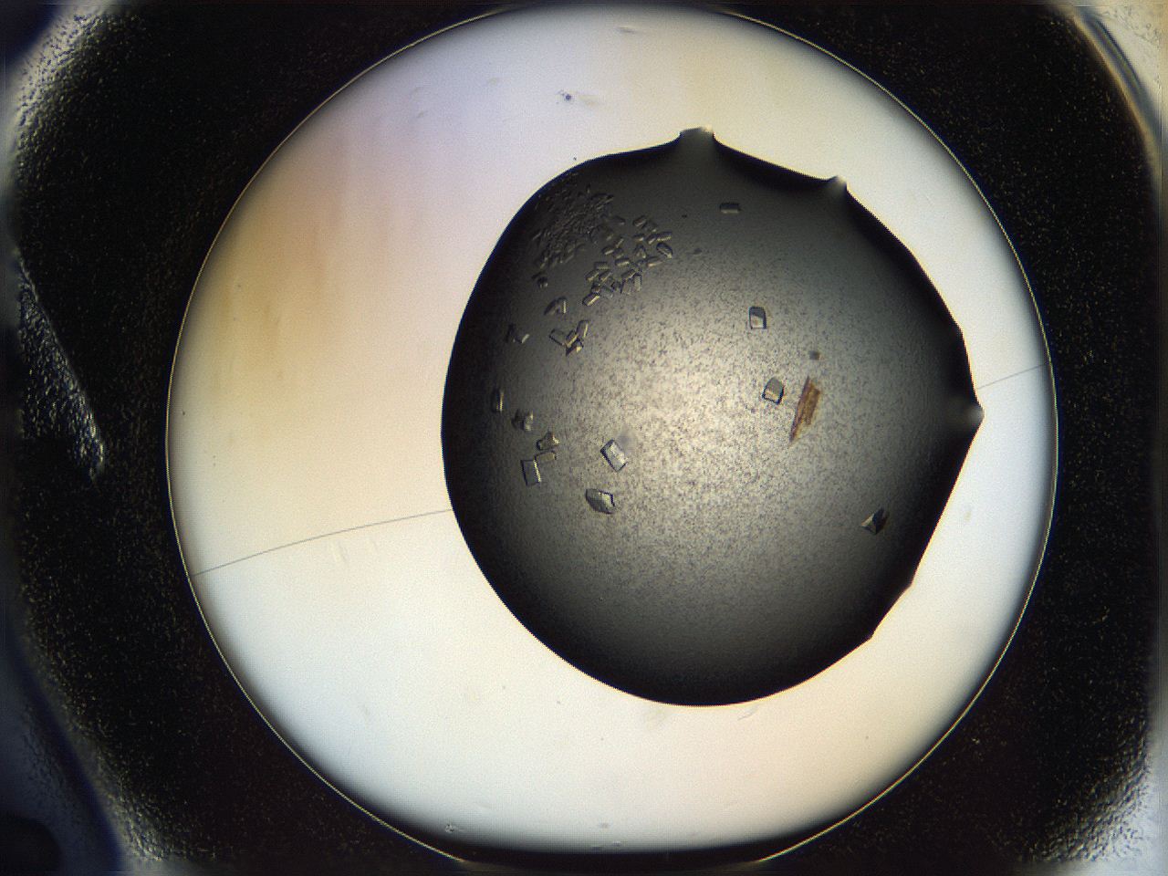 05mg_A6_ImagerDefaults_9.jpg
