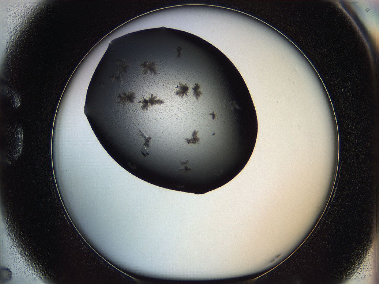 05mg_G5_ImagerDefaults_8.jpg