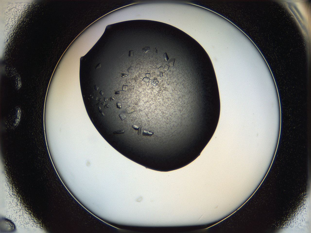 05mg_C6_ImagerDefaults_9.jpg