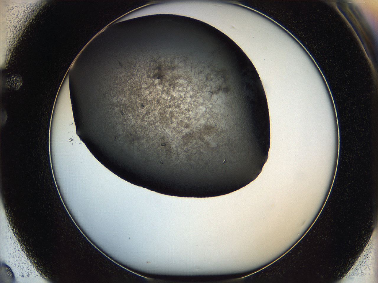 05mj_F2_ImagerDefaults_7.jpg