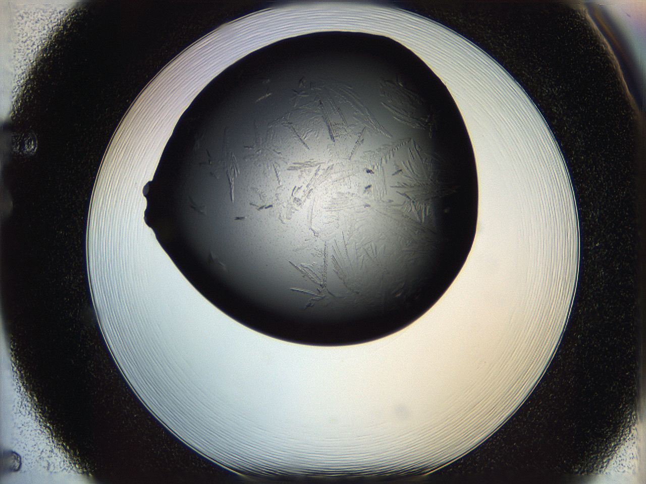 05mj_F5_ImagerDefaults_6.jpg