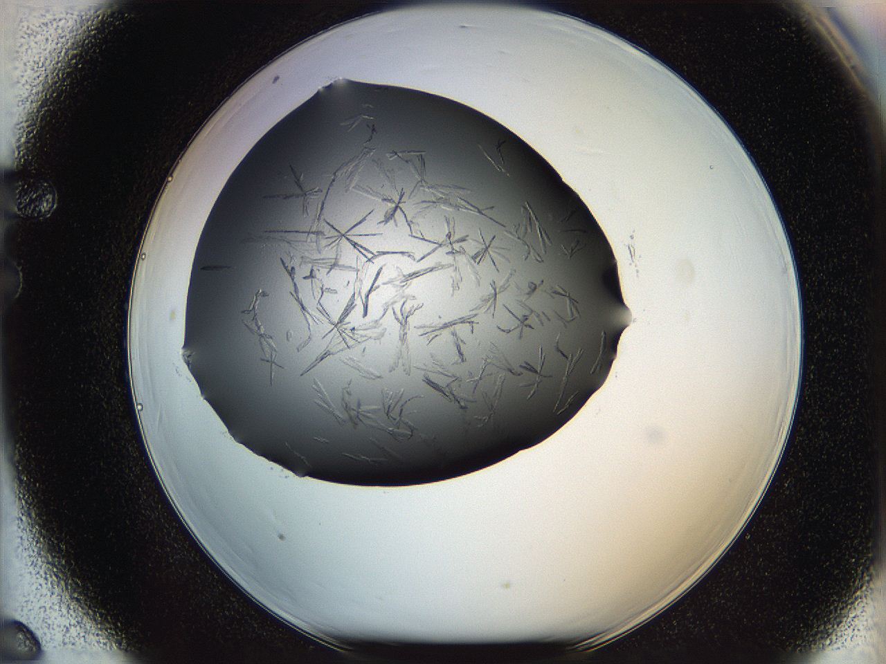 05mj_F6_ImagerDefaults_6.jpg