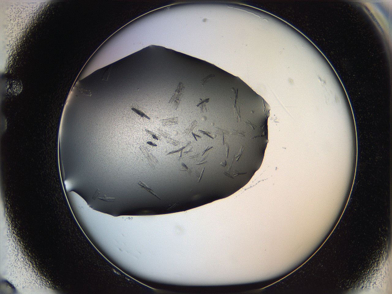 05mj_F8_ImagerDefaults_7.jpg