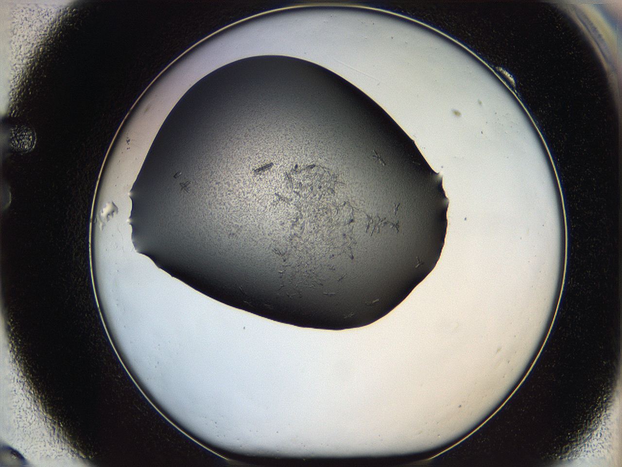 05mj_F9_ImagerDefaults_6.jpg