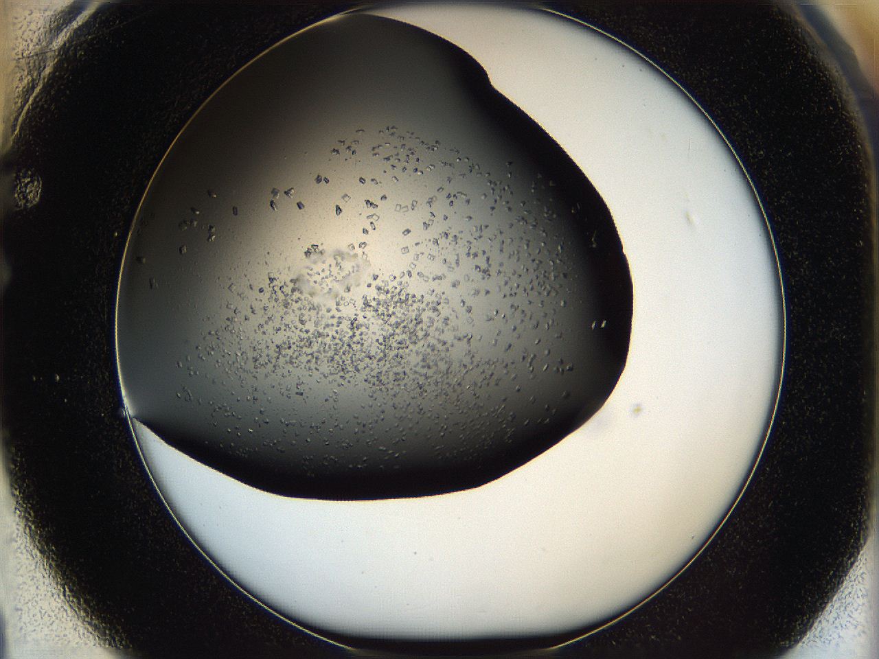 05mj_F1_ImagerDefaults_7.jpg