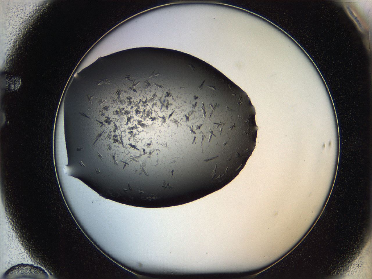 05mj_F10_ImagerDefaults_6.jpg
