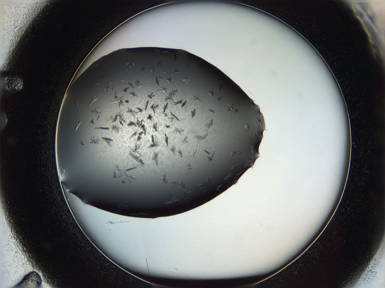05mj_F11_ImagerDefaults_6.jpg