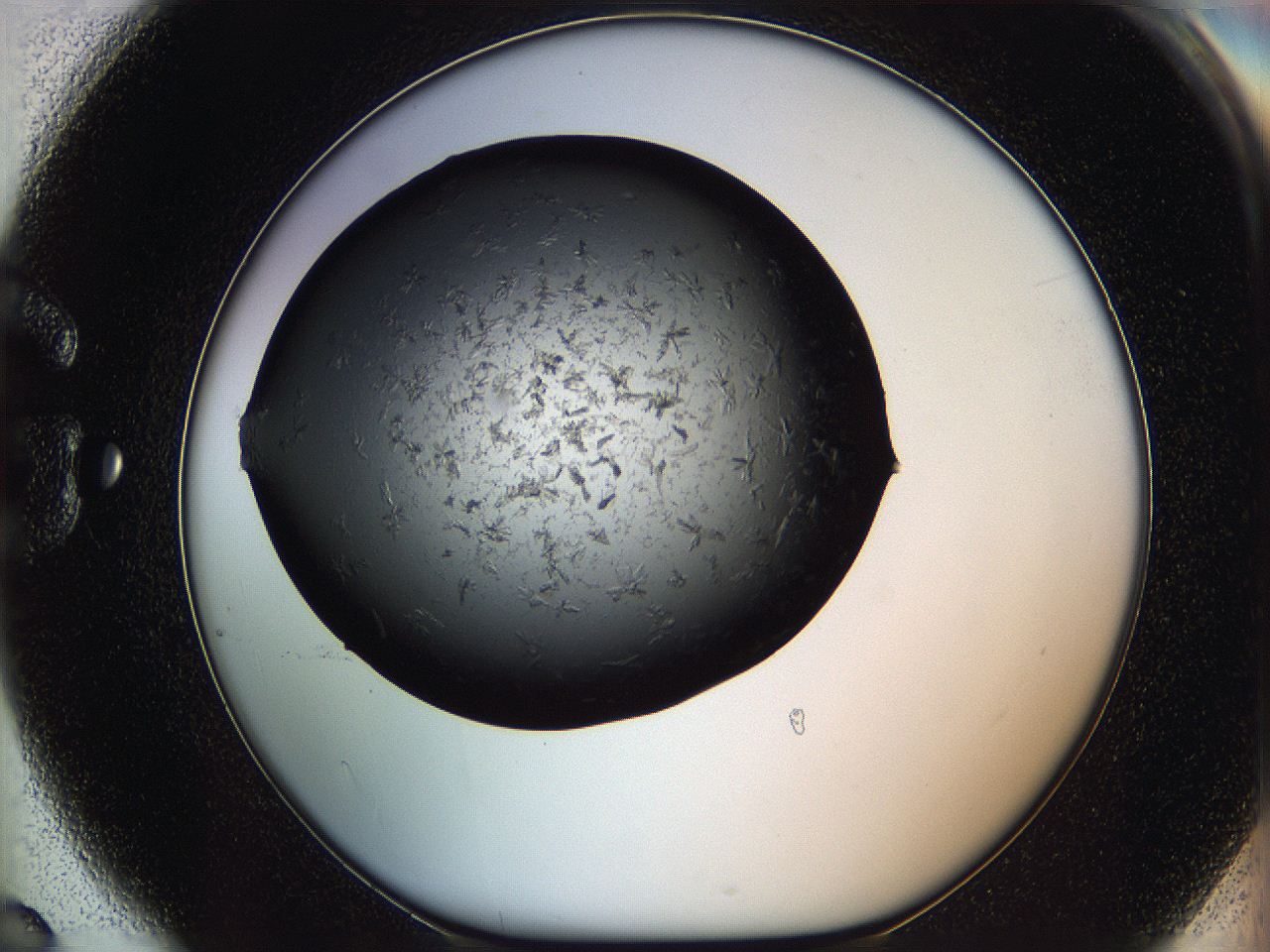 05mj_G6_ImagerDefaults_6.jpg