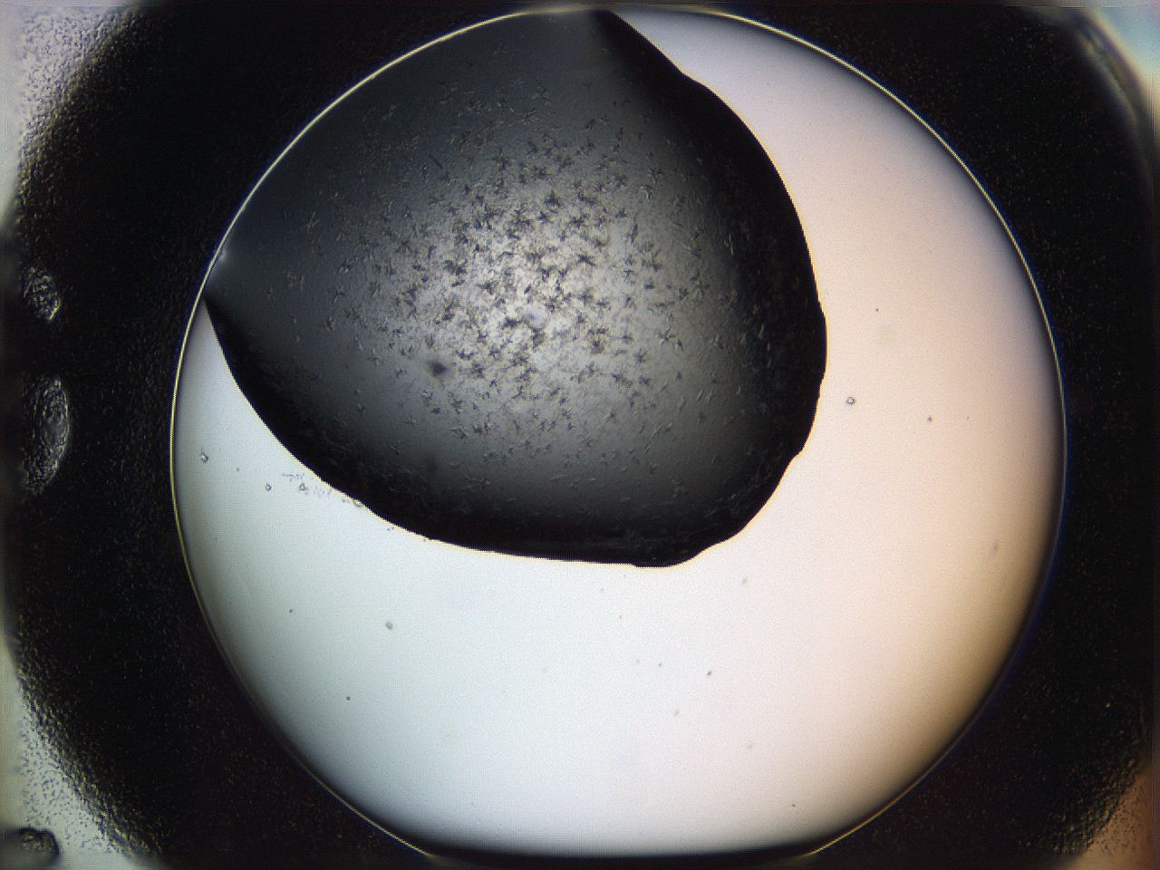 05mj_G7_ImagerDefaults_6.jpg