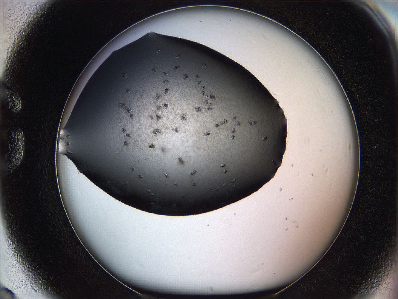 05mj_G8_ImagerDefaults_7.jpg