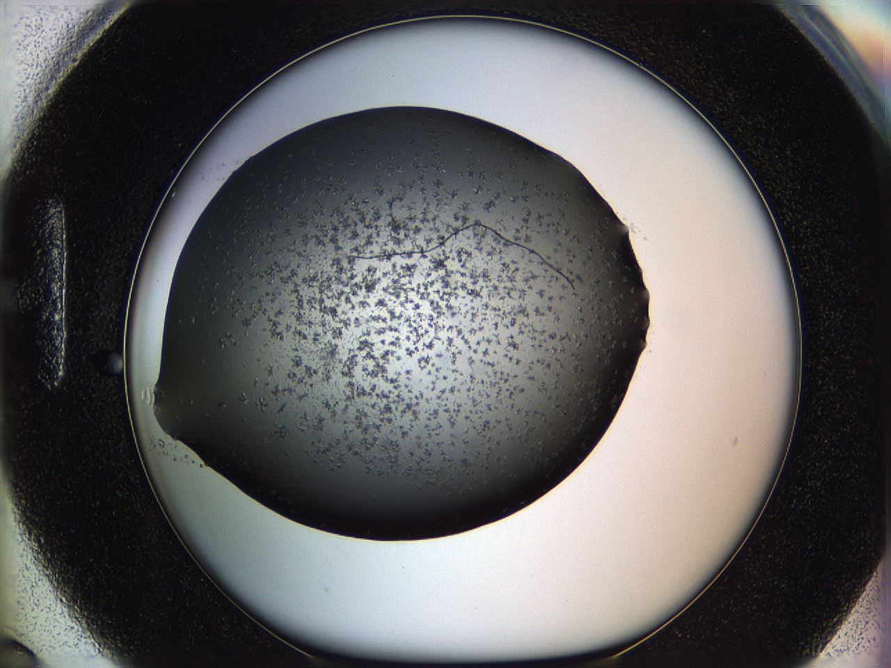 05mj_H6_ImagerDefaults_6.jpg