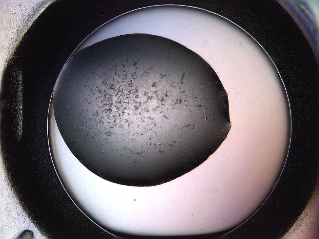 05mj_H11_ImagerDefaults_6.jpg
