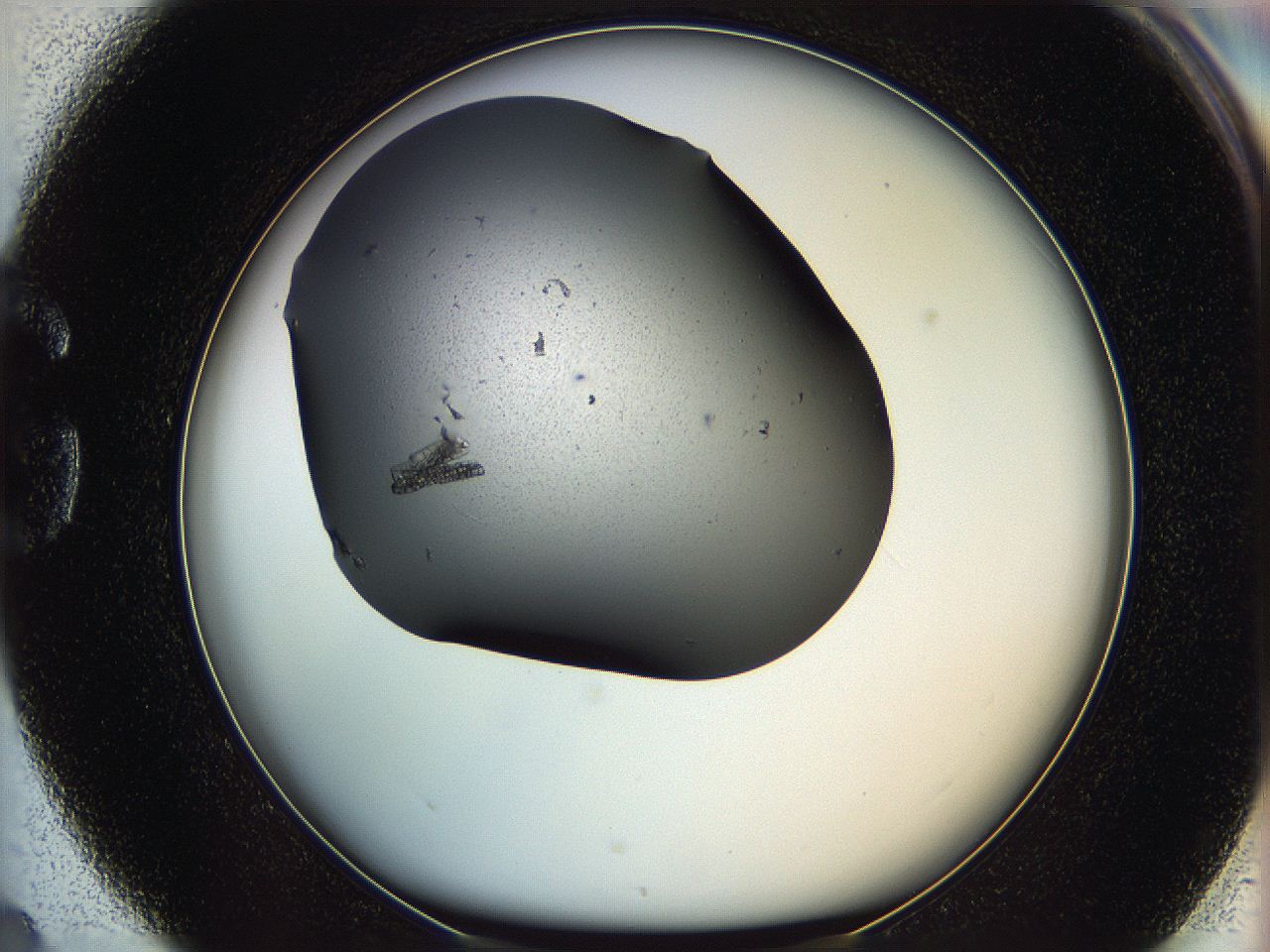 05ml_G4_ImagerDefaults_8.jpg