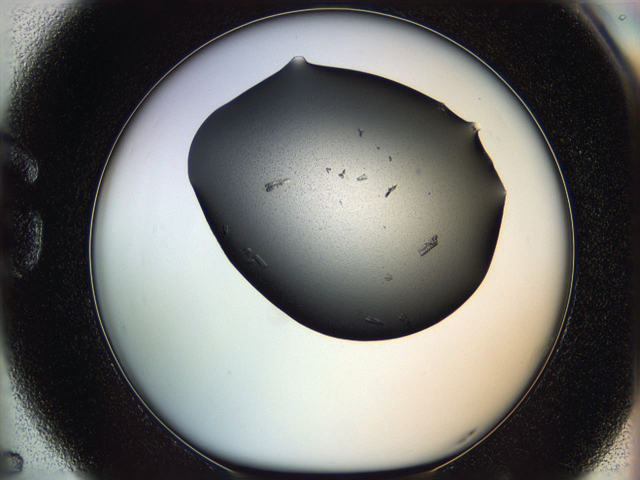 05ml_G5_ImagerDefaults_8.jpg