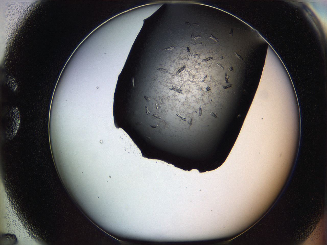 05ml_G7_ImagerDefaults_7.jpg