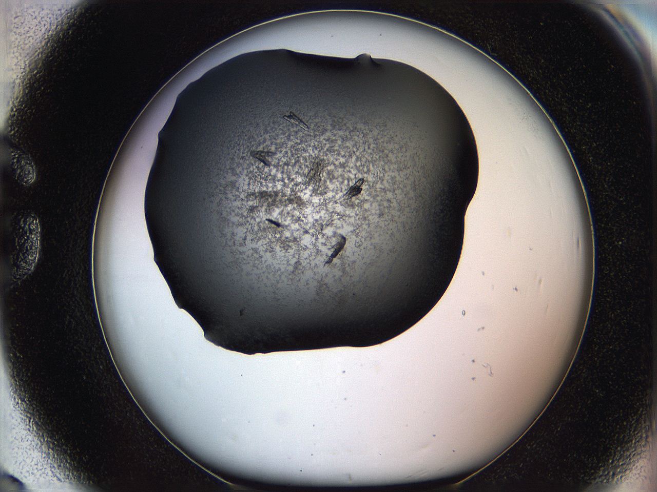 05ml_G8_ImagerDefaults_7.jpg